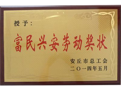 点击查看详细信息<br>标题：富民兴安劳动奖状 阅读次数：10373
