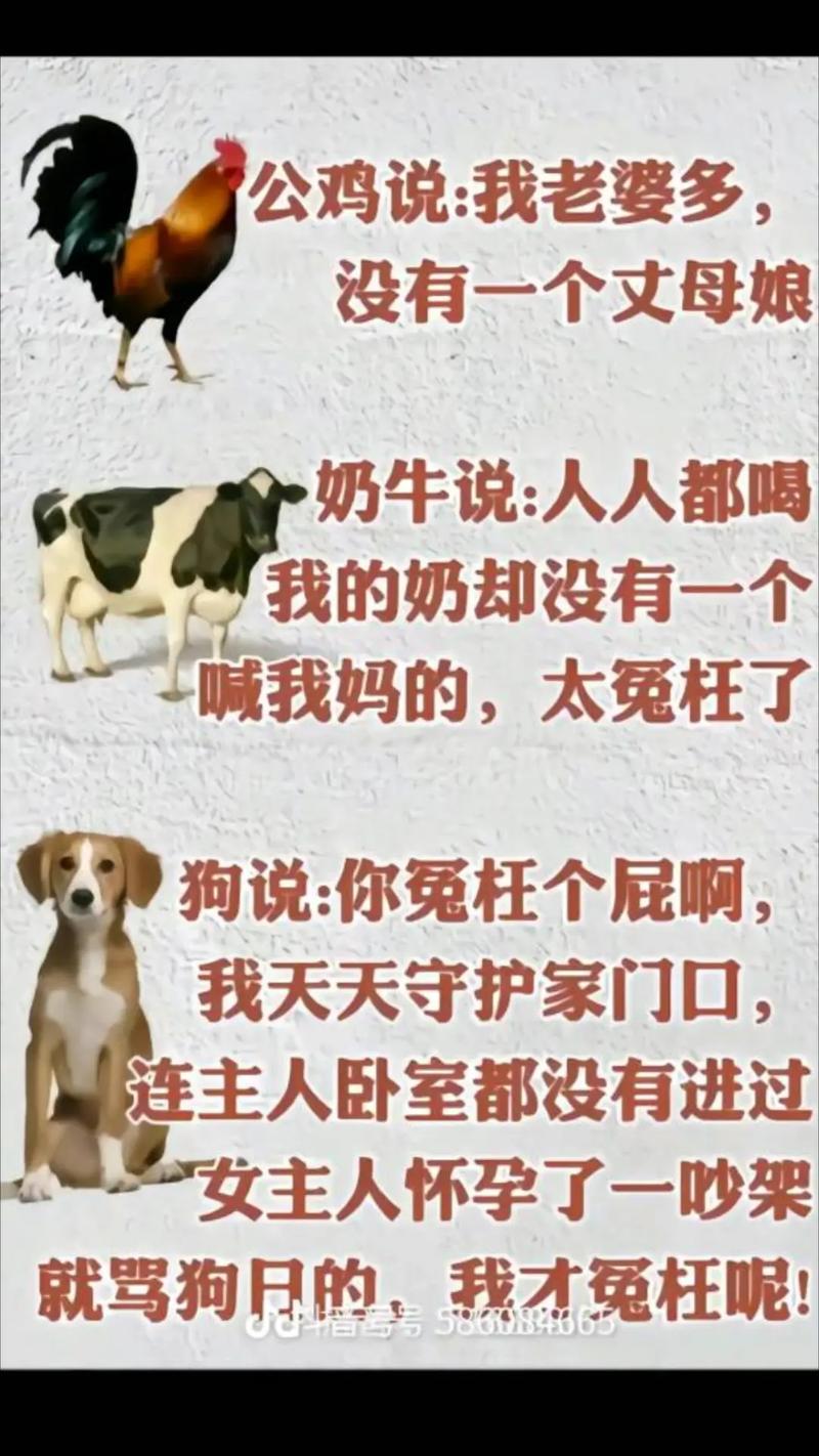 全国大屏都在喊妈