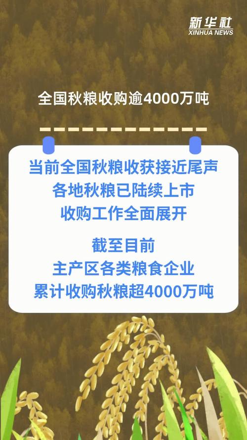 秋粮收购达3.45亿吨