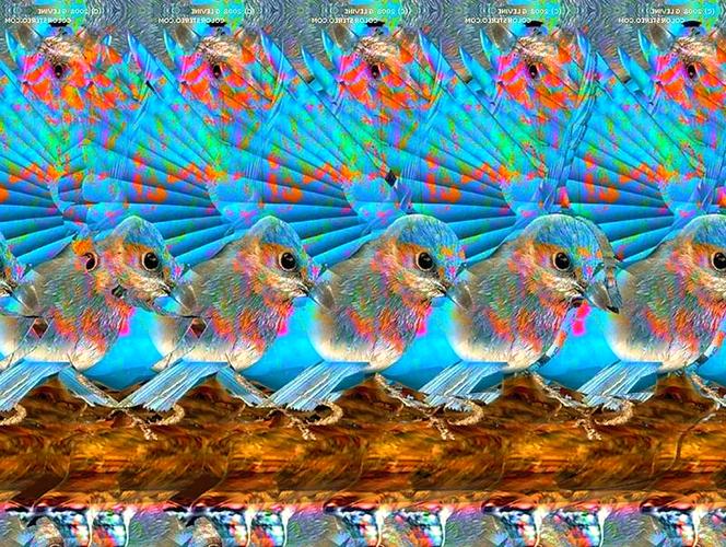 成都裸眼3D蛇太逼真,成都裸眼3d原理