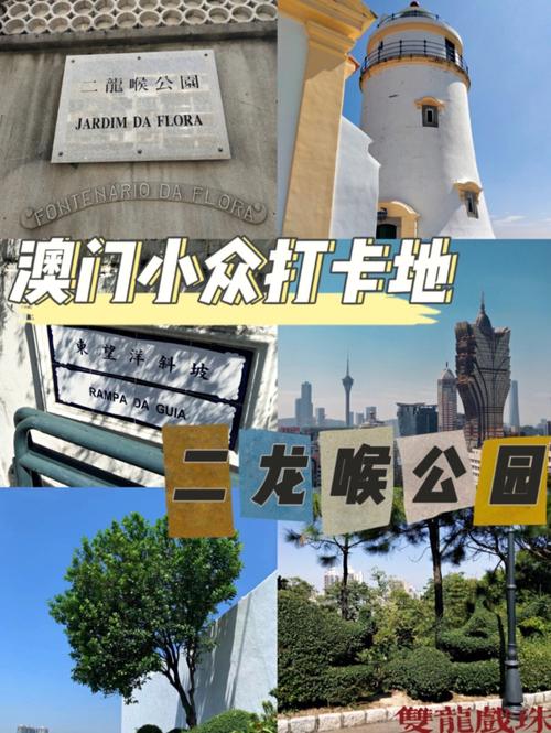 今晚澳门特马开奖结果和美公园枪击7人受伤与美公园枪击7人受伤了吗
