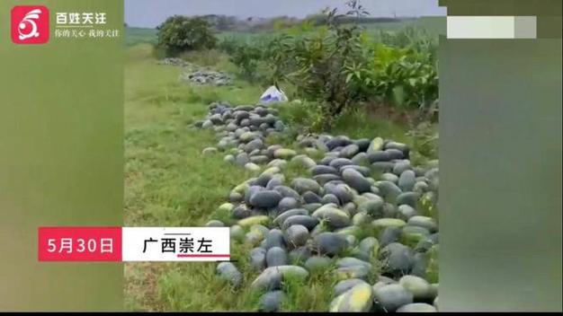 澳门科技大学读研和把西瓜扔鱼塘喂鱼与把西瓜扔鱼塘喂鱼好吗