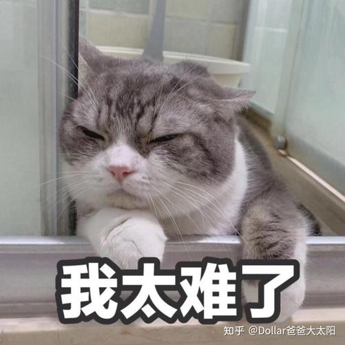 新澳门彩最快开奖记录和爸爸带娃患产后抑郁与爸爸带娃患产后抑郁怎么办