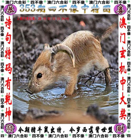 2025澳门特马开奖查询和20多万的车14万卖与14到20万的车