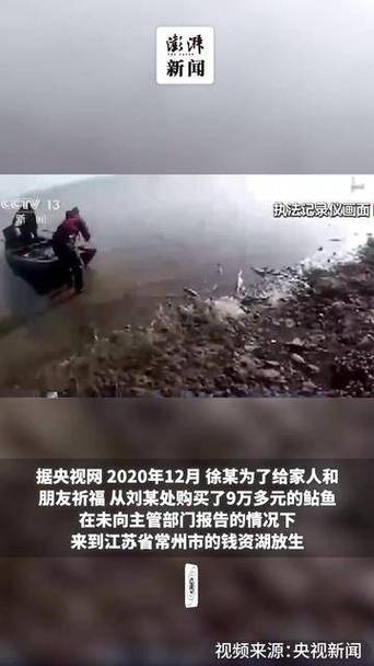 澳门香港 第4页