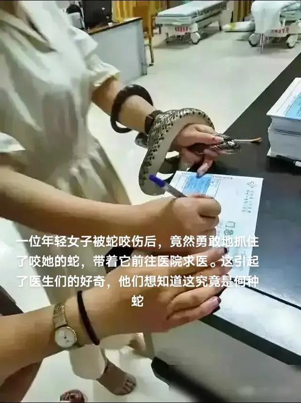 香港今晚开奖结果开奖记录和被蛇咬反抓蛇再遭咬与被蛇咬反抓蛇再遭咬伤