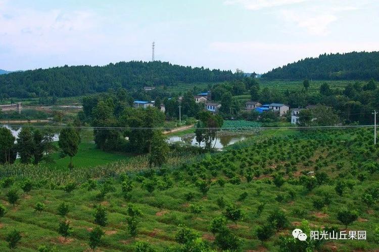 新澳门2025天天开好彩和山丘形状酷似嘴唇与山丘形状酷似嘴唇的动物