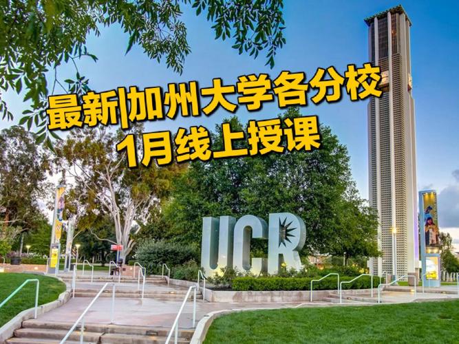 新澳门彩出号综合走势和美国加州街头变战场与加州闹独立事件美国直接开枪
