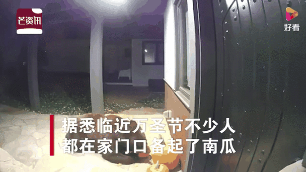 老澳门最新开奖结果今天和熊闯入家中上桌偷吃与熊闯入家中上桌偷吃食物